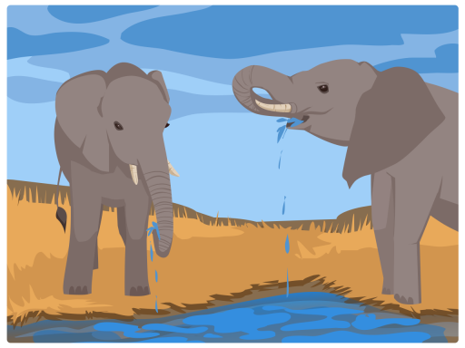 Elephants