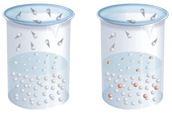 Prikazane su dvije posude ispunjene tekućinom. Prva posuda ispunjena je samo jednom tvari, dok je drga ispunjana mješavinom dvije različite tvari. Iznad obje posude prikazan je dio čestica koje “iskoče ” iz tekućeg agregatnoga stanja u plinovito stanje. S porastom temperature broj čestica koje iskaču iz tekućine u plinovito stanje se povećava. Čestice u plinovitom stanju vrše tlak na stjenke posude. Fotografija prikazuje značenje Raultovog zakona.