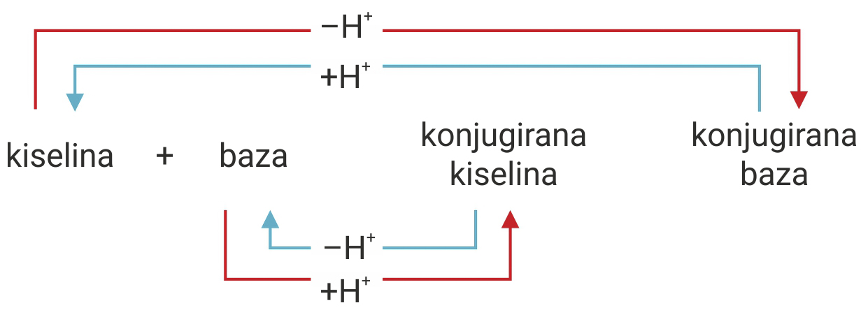 Fotografija prikazuje odnos parova kiselina i konjugiranih baza i obrnuto.