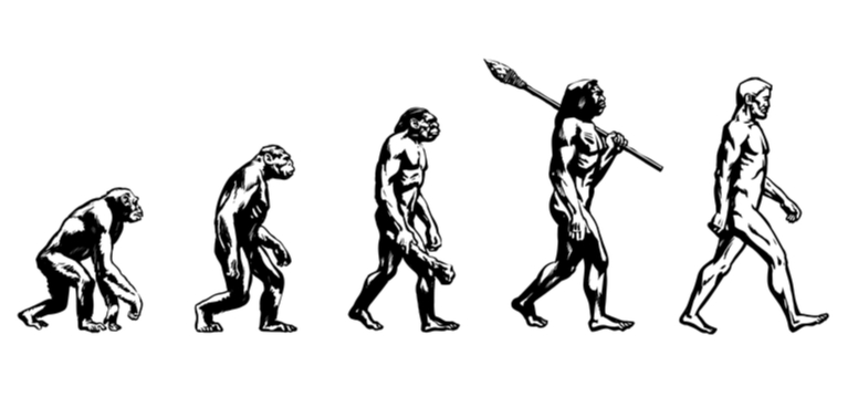 Ilustracija prikazuje postepenu evoluciju čovjeka iz bića nalik primatu preko tri prijelazne forme koje su postepeno uspravnije, koriste sve sofisticiranije alate te polako nalikuju modernom čovjeku