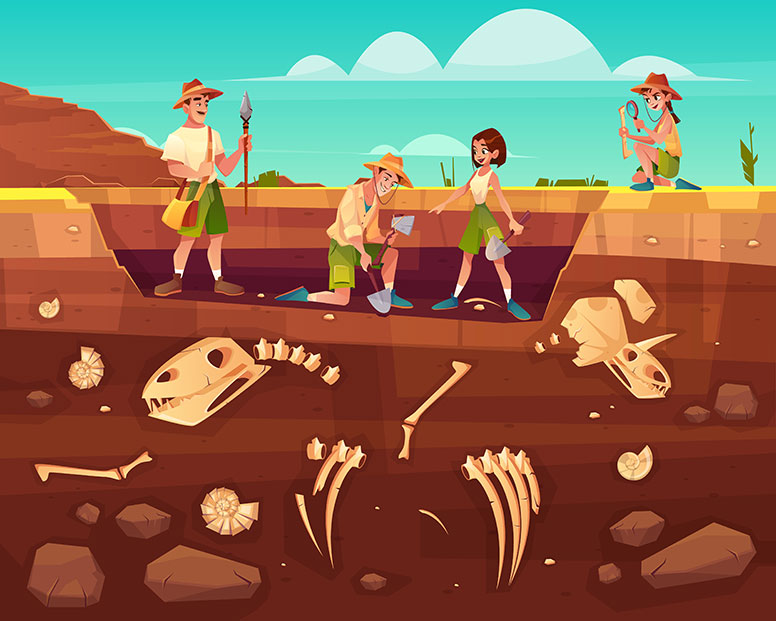 Ilustracija prikazuje dvije žene i dva muškarca odjevene u kratke zelene hlače i bež majice kratkih rukava koji zajednički otkopavaju slojeve zemlje kako bi pronašli ostatke drevnih organizama