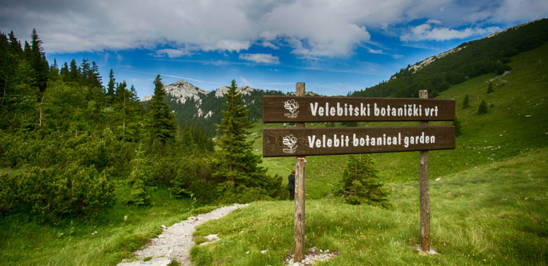 Velebitski botanički vrt. Fotografija prikazuje drvenu tablu s natpisom: Velebitski botanički vrt na hrvatskom i engleskom jeziku. U pozadini je plavo nebo s bijelim oblacima, kamena stazica uz drvenu tablu i zelena vegetacija (trava i šuma zimzelenog drveća). 