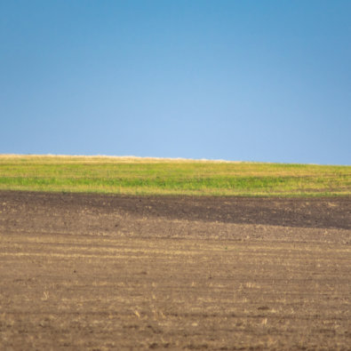 Ravnica. Smeđa zemlja, žutozelena poljoprivredna površina i plavo nebo