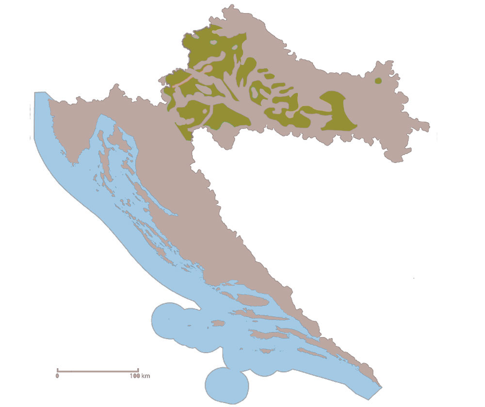 Smeđa tla na laporima