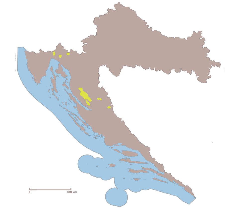 Smeđa distrična tla