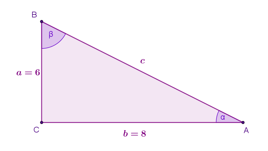 Skica pravokutnog trokuta s označenim zadanim elementima iz primjera