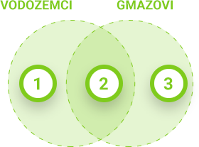 Konačni prikaz