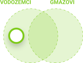 Obilježja vodozemaca i gmazova - vodozemci