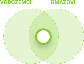 Obilježja vodozemaca i gmazova - zajedničko
