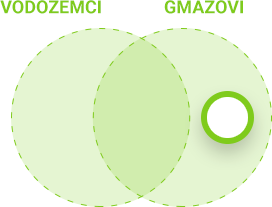 Obilježja vodozemaca i gmazova - gmazovi
