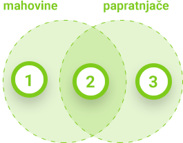 Konačni prikaz
