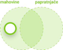 Obilježja mahovina i papratnjača - mahovine