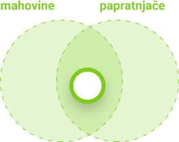 Obilježja mahovina i papratnjača - zajedničko