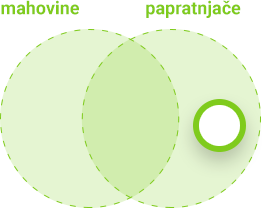 Obilježja mahovina i papratnjača - papratnjače