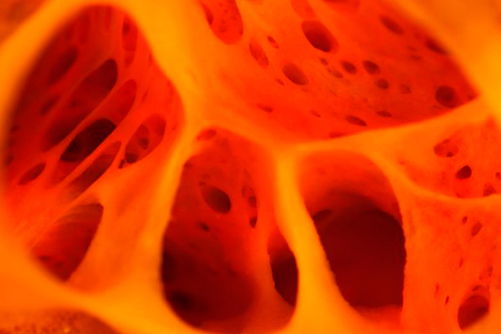 Slika prikazuje unutrašnju šupljinu spužve. Prevladava prigušeno narančasto osvjetljenje, a sama šupljina podsjeća na unutrašnjost djelomično otopljenog, rupičastog švicarskog sira.