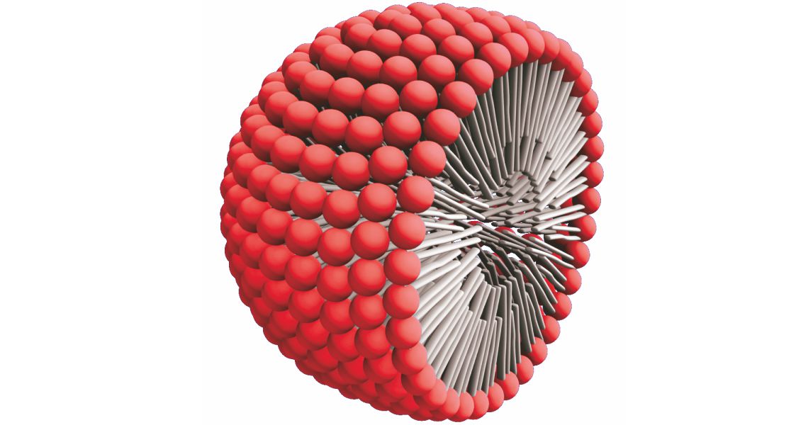 Fotografija prikazuje shematski prikaz micele koja ima oblik kugle. Iz središta kugle izlazi mnoštvo štapića, a svaki štapić na vrhu ima kuglicu, poput lizalice. To mnoštvo kuglica na štapićima čini veliku kuglu - micelu.