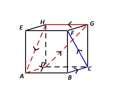 Slika prikazuje staze kojima su išli mravi na modelu kocke.