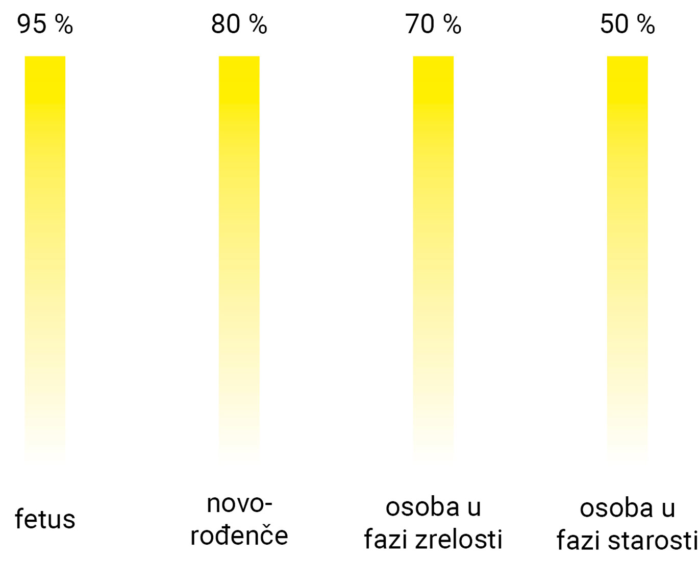 Prikazane su četiri žute linije iznad kojih piše po jedan postotak koji prikazuje postotak vode. Fetus ima 95% vode, novorođenče 80, osoba u zrelosti 70, a osoba u starosti 50.