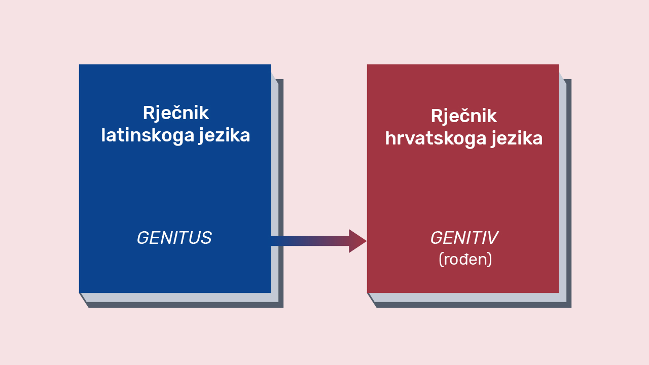 Ilustracija latinskog i hrvatskog rječnika kojom se pokazuje da izraz genitiv dolazi od latinske riječi genitus što znači rođen.