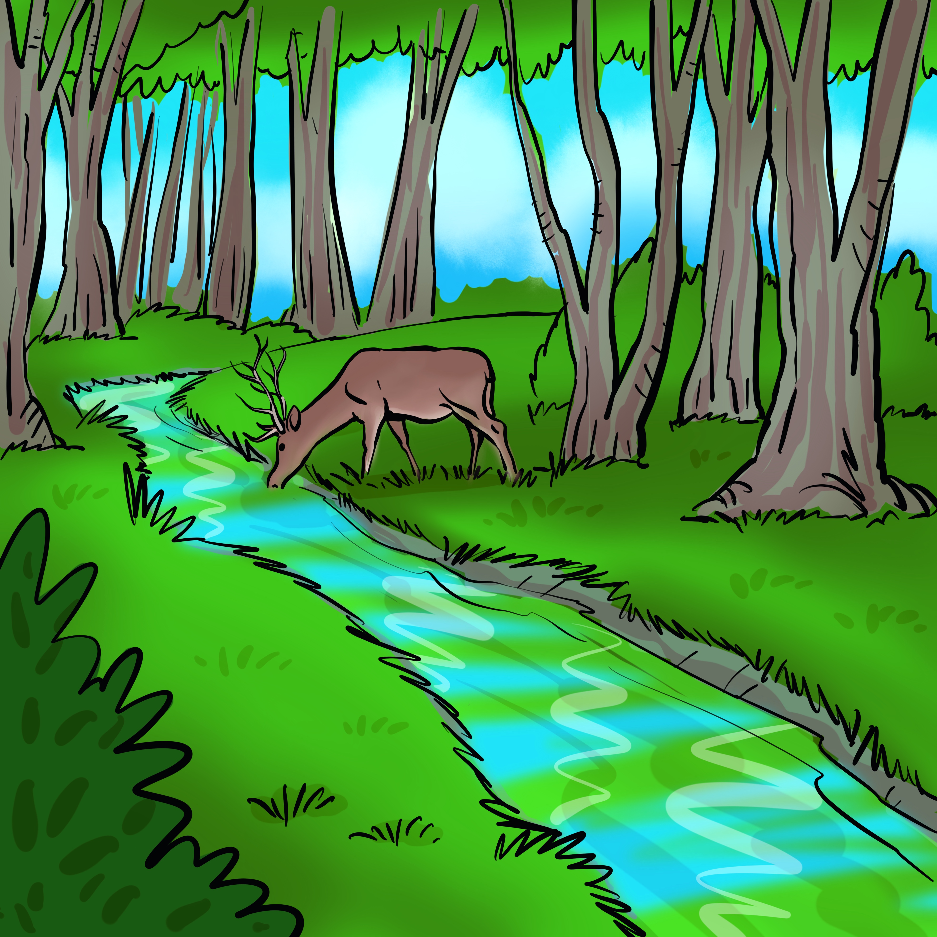 Šumski potok iz kojeg pije jelen.