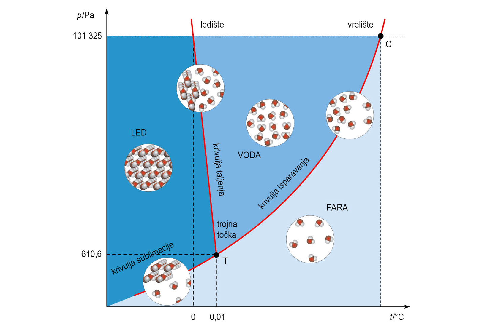 Fotografija prikazuje fazni dijagram vode. Vertikalna os mjeri tlak, a horizontalna temperaturu. Dijagram je kvadratnog oblika. Lijevi dio je obojan tamnijom plavom i prikazana je struktura leda.Gornji desni dio prikazuje strukturu tekuće vode. Donji desni dio prikazuje molekulsku strukturu vodene pare. Označene su točke vrelišta i ledišta te krivulje sublimacije, taljenja i isparavanja.