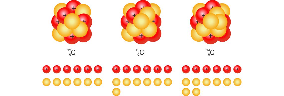 Shematski prikaz jezgara atoma izotopa ugljika. Jezgre su prikazane kao grozdaste nakupine protona i neutrona. Ispod svake su izdvojeni protoni nuitroni.