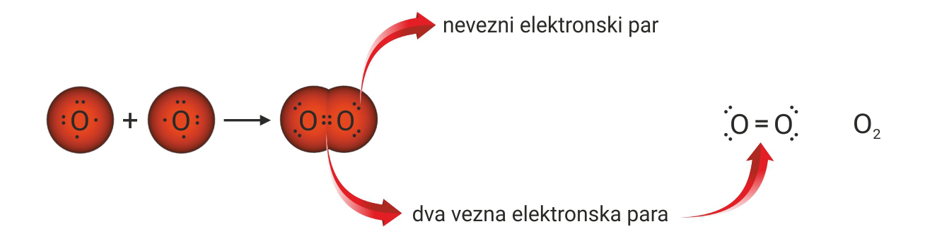 Shematski prikaz nastajanja dvostruke kovalentne veze u molekuli kisika