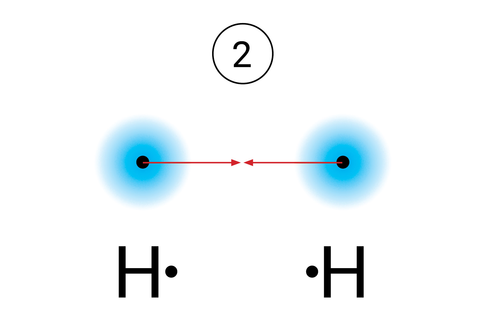 Dva atoma vodika.Njihovo međudjelovanje je prizano pomoću dvije strelice koje su usmjerene jedna prema drugoj.