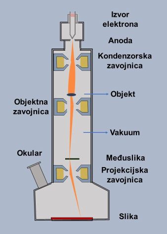 Shema elektronskog mikroskopa na kojem su prikazani njegovi dijelovi i put stvaranja slike:izvor elektrona, anoda, kondenzorska zavojnica, objekt, objektna zavojnica, vakum, okular, međuslika, projekcijska zavojnica, slika.