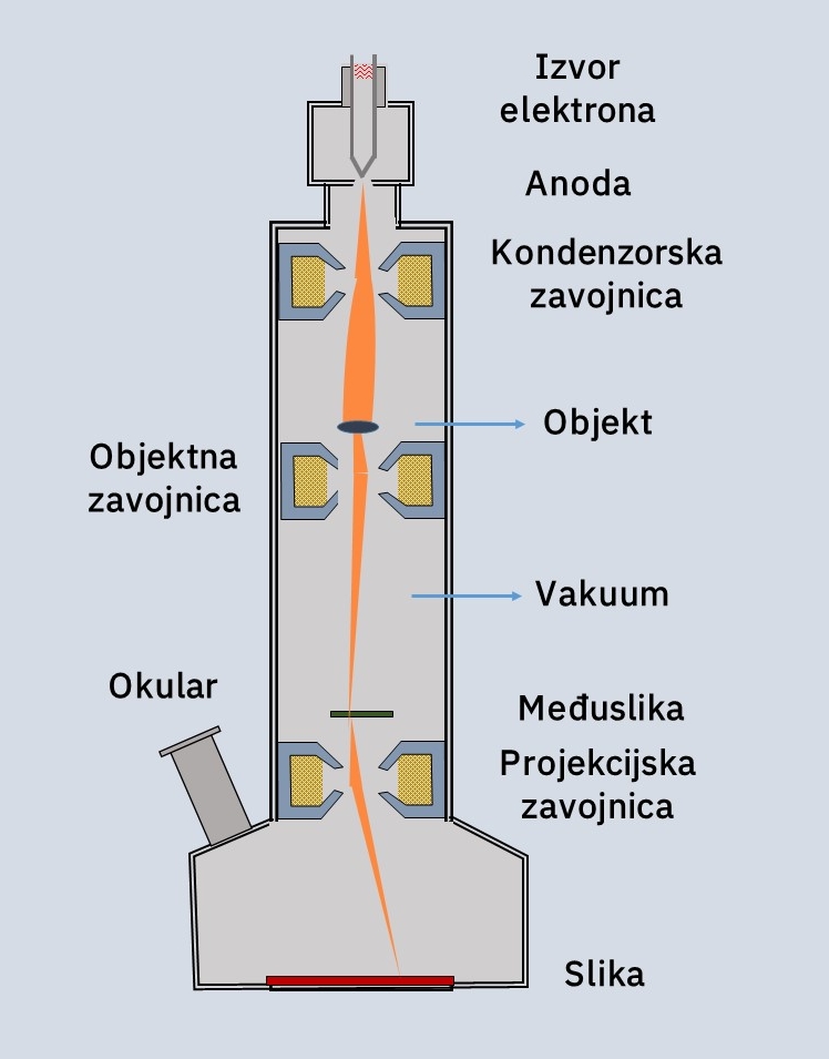 Shema elektronskog mikroskopa na kojem su prikazani njegovi dijelovi i put stvaranja slike:izvor elektrona, anoda, kondenzorska zavojnica, objekt, objektna zavojnica, vakum, okular, međuslika, projekcijska zavojnica, slika.
