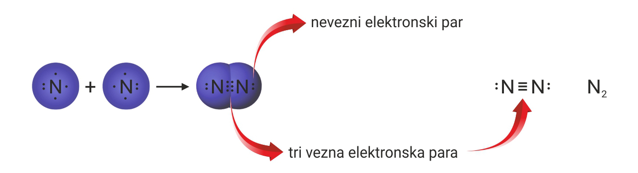 Shematski prikaz nastajanja trostruke kovalentne veze u molekuli dušika