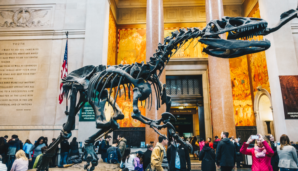 Prikaz kostura dinosaura.