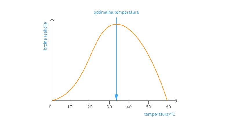 Fotografija prikazuje graf optimalne vrijednosti temperature pri aktivnosti enzima.